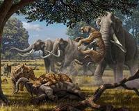 Lack of water likely caused extinction of isolated Alaska mammoths