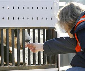 US zoo gets quick peek of newborn panda
