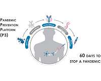 Experts pitch surveillance system to detect viruses before next pandemic