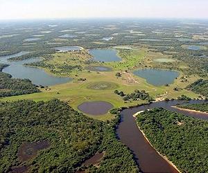 Wetlands more cost-effective in nutrient removal, but multiple payments would be of uncertain value