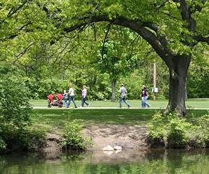 Green environments essential for human health