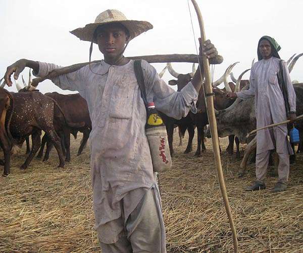 Small farmers 'need more climate aid to ward off famines': UN