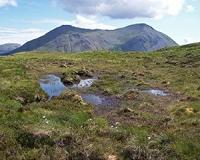 Peat soils as gigantic batteries