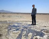 Reconstructing a vanished bird community from the Ice Age