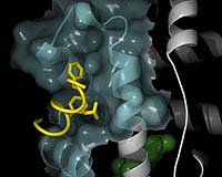 Health Biz: Pharma Banks On Cancer Drugs