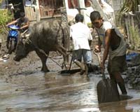 Over 1,000 Dead Or Missing In Philippine Mudslides