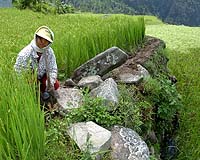 Methane Gyrations Last 2,000 Years Show Human Influnece On Atmosphere