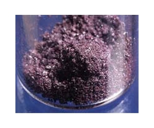Phosphorus Identified As The Missing Link In Evolution Of Animals