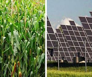 Photosynthesis or photovoltaics: Weighing the impact