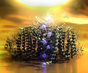 Individual protein complex generates electric current
