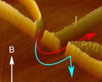 A Spin-Voltaic Effect May Enable Silicon Spintronics