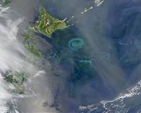 Ocean life triggers ice formation in clouds