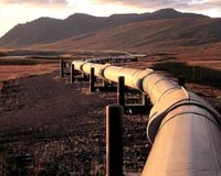 The Most Profitable Gas in the World