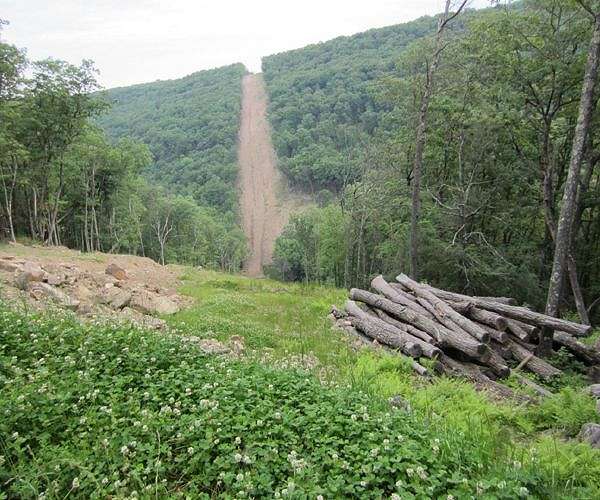Appeals court orders temporary halt to natural gas pipeline in national forest
