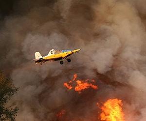 Watchdog criticises Netanyahu's govt over 2010 fire