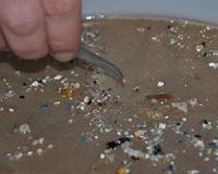 Plastic pollution choking Australian waters: study