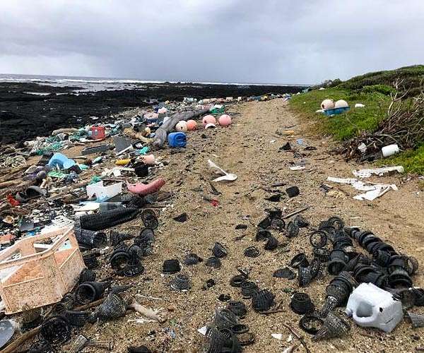 Study: Cleanup, management won't save ecosystems from plastic pollution