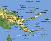 Papua Logging Industry Riddled With Corruption, Rights Abuses: Report