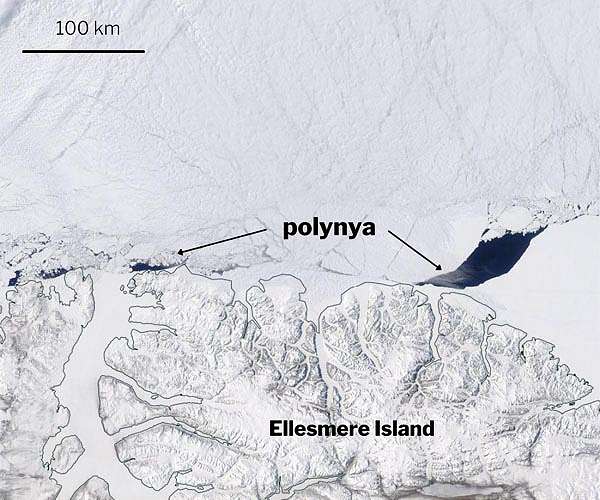 Scientists discover large rift in the Arctic's last bastion of thick sea ice