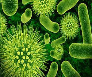 Study reveals new survival strategy for bacteria exposed to antibiotics