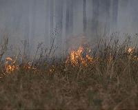 Global data shows inverse relationship, shift in human use of fire