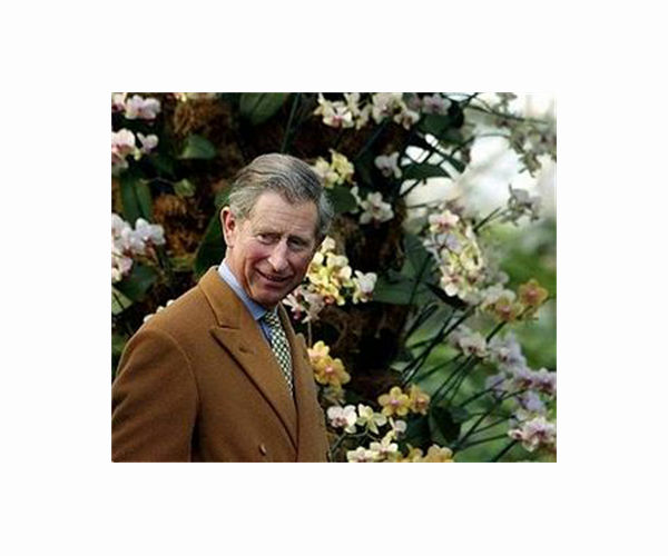 Prince Charles launches tree-planting drive for Queen's jubilee
