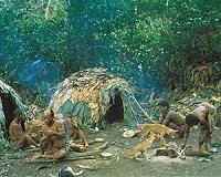 Pygmy chief arrested for destroying forest in DR Congo park