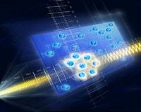 How often do quantum systems violate the second law of thermodynamics?