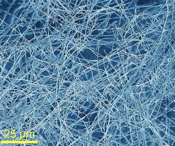 Polymer film protects from electromagnetic radiation, signal interference