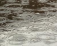 Torrential rains kill four in Sierra Leone