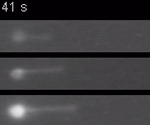 Biochemists uphold law of physics