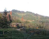 Damaging Sichuan earthquakes linked to fracking operations