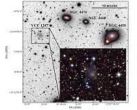 The dark side of the fluffiest galaxies
