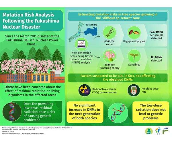 Mutation risks due to residual radiation from Fukushima nuclear disaster
