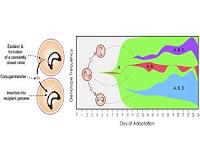 Researchers strategize to outsmart bacteria