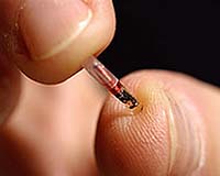 Wireless World: RFID Technology Spreading
