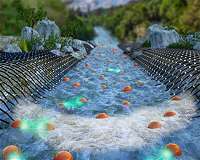 Weizmann physicists image electrons flowing like water