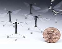 New soft-muscled RoboBee is accident proof