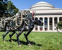 China dreams of electric sheep at robot conference