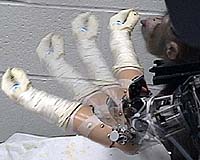 Monkey Brain Rewires To Use Robotic Arm