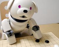 Robots show their 'personality' at big tech show