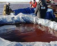 Arctic spill fuels calls for shakeup at Russia mining giant