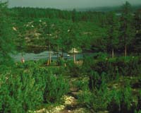 Western Demand Drives Increase In Chinese Timber Imports