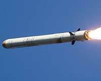 'No plans' for new US missiles in Europe despite treaty pullout