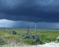 Sage grouse losing habitat to fire as endangered species decision looms