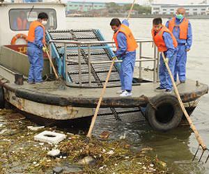 Shanghai river's dead pig total approaches 15,000