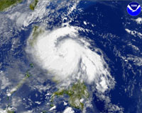 40 survivors washed ashore in typhoon-hit Philippines