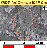Managing Forest Fires In Real Time