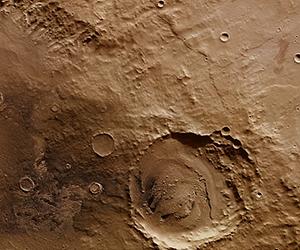 Martian impact craters may be hiding life