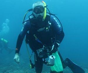 Soft Coral Builds Strong Reefs